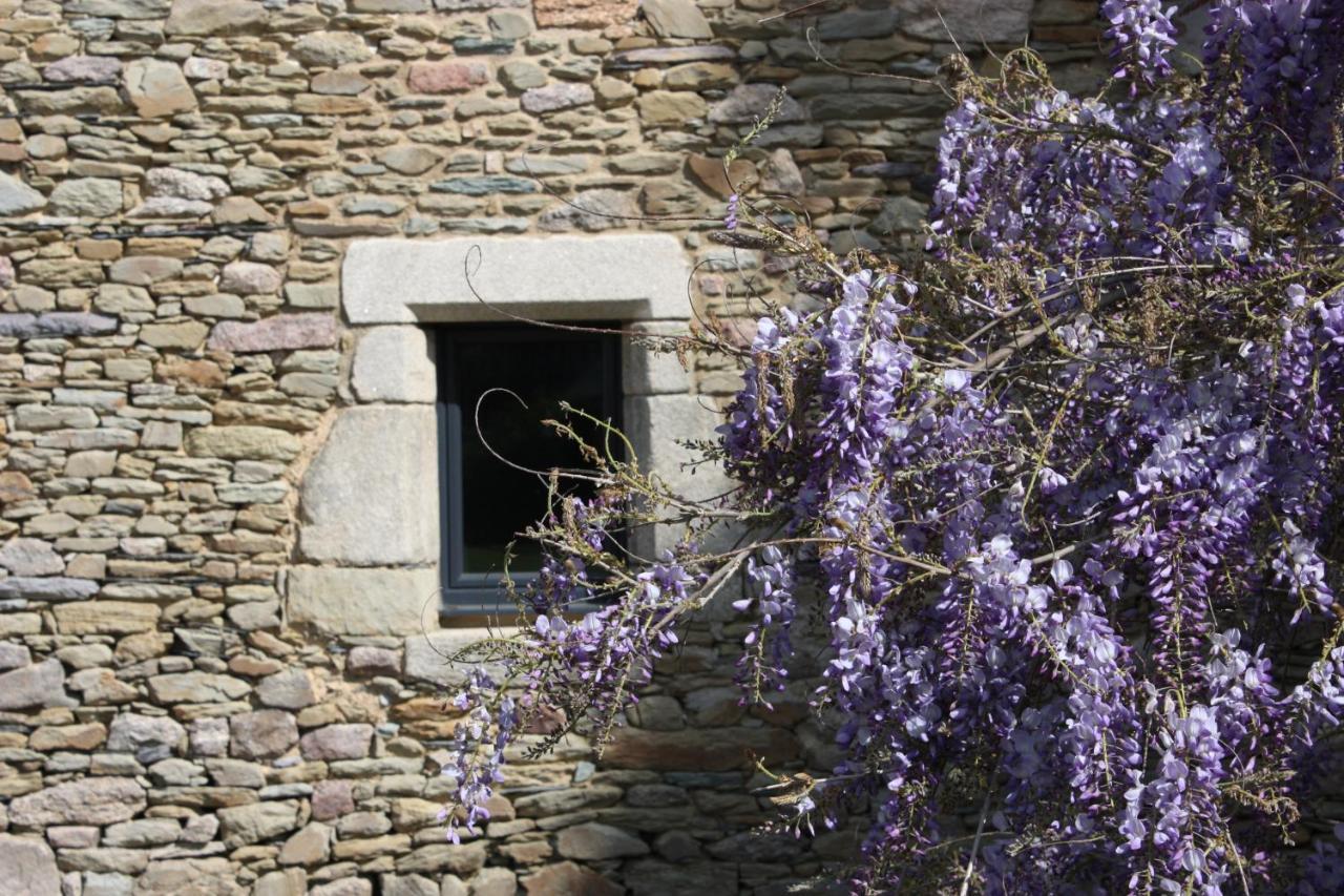 Domaine De La Prevostais Bed & Breakfast Pleucadeuc Dış mekan fotoğraf